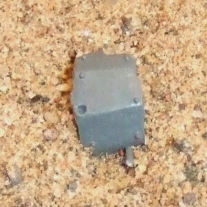 Ork Boy Shoulder Pad 1