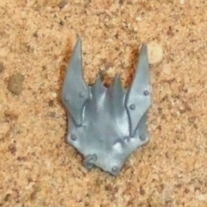 Ork Nob Loincloth 4