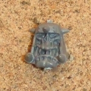 Ork Nob Head 6