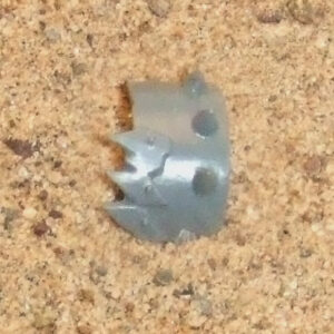 Ork Nob Shoulder Pad 5
