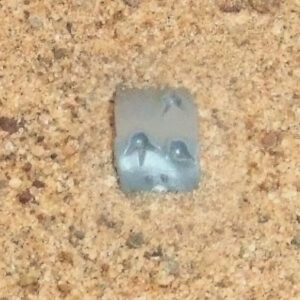 Ork Nob Small Shoulder Pad 5