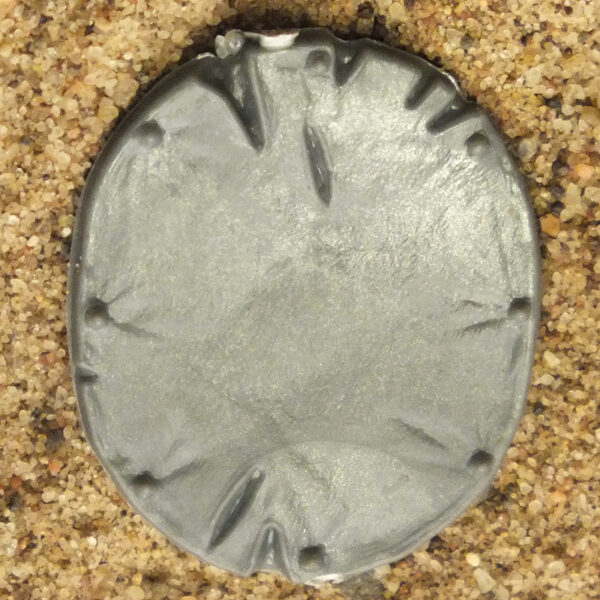 Orc Boy Shield 1