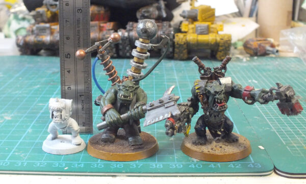 Fox Box Orc Blackthumb Boss - Image 3